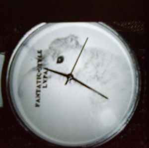 Fantastic style white watch